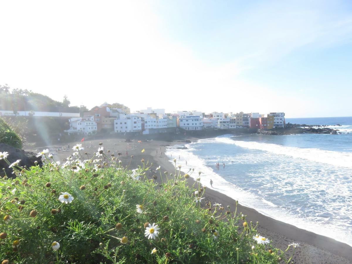 Centrico Loft En El Puerto De La Cruz Con Wifi Y Cerca De La Playa Lägenhet Exteriör bild