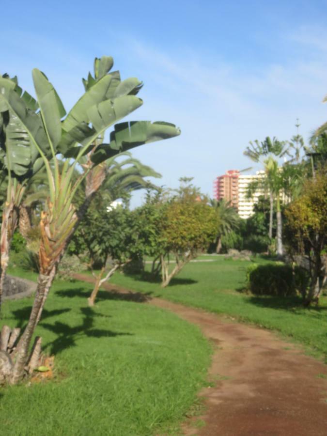 Centrico Loft En El Puerto De La Cruz Con Wifi Y Cerca De La Playa Lägenhet Exteriör bild